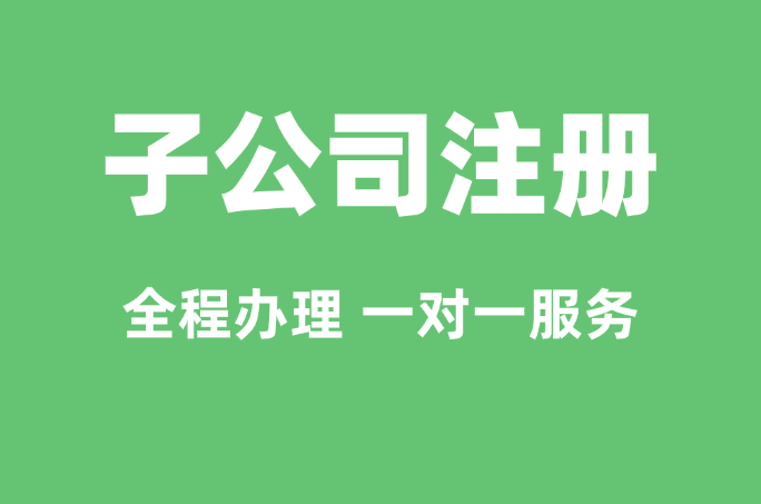 宁波子公司注册服务